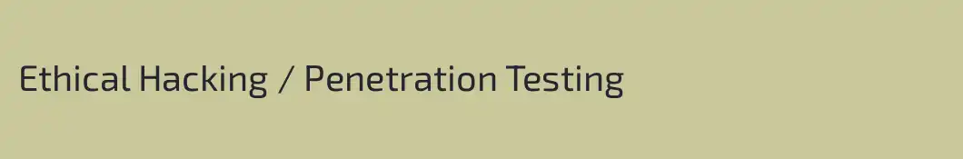Ethical Hacking / Penetration Testing